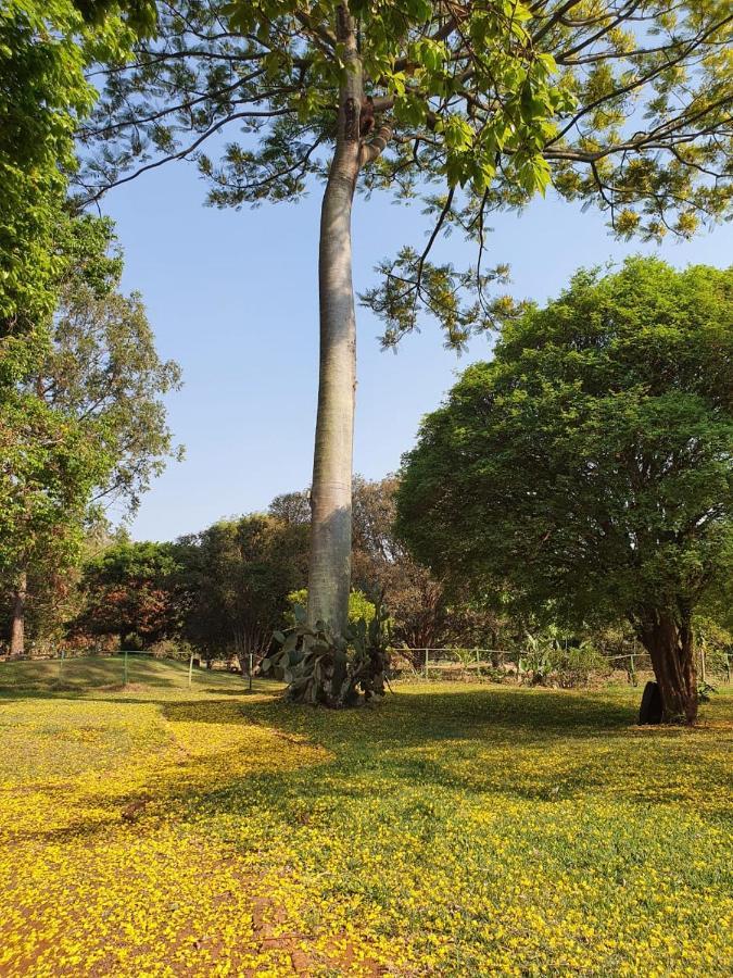 Fazenda Santa Clementina Araras (Sao Paulo) Exterior foto