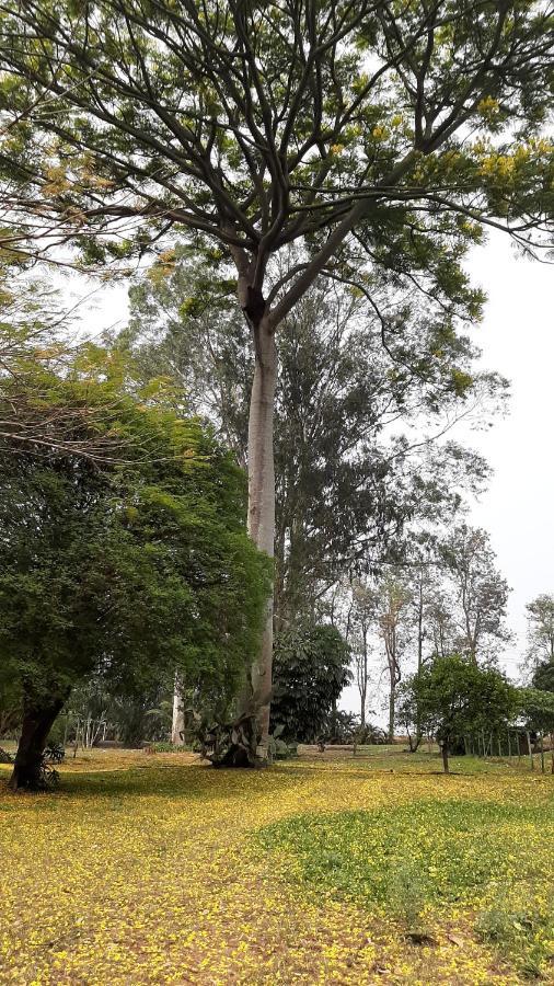 Fazenda Santa Clementina Araras (Sao Paulo) Exterior foto